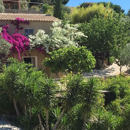 Les Terrasses Sur Mer Ollioules Bagian luar foto