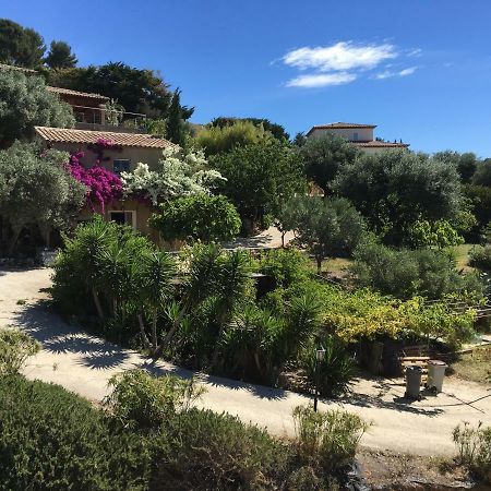 Les Terrasses Sur Mer Ollioules Bagian luar foto