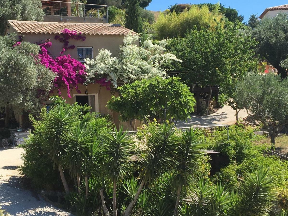 Les Terrasses Sur Mer Ollioules Bagian luar foto