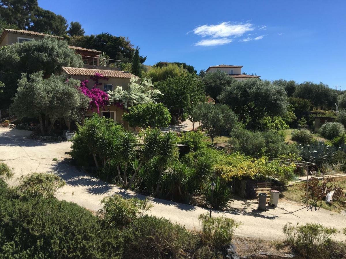 Les Terrasses Sur Mer Ollioules Bagian luar foto