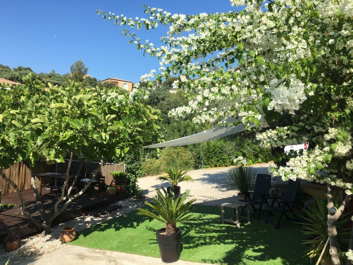 Les Terrasses Sur Mer Ollioules Bagian luar foto