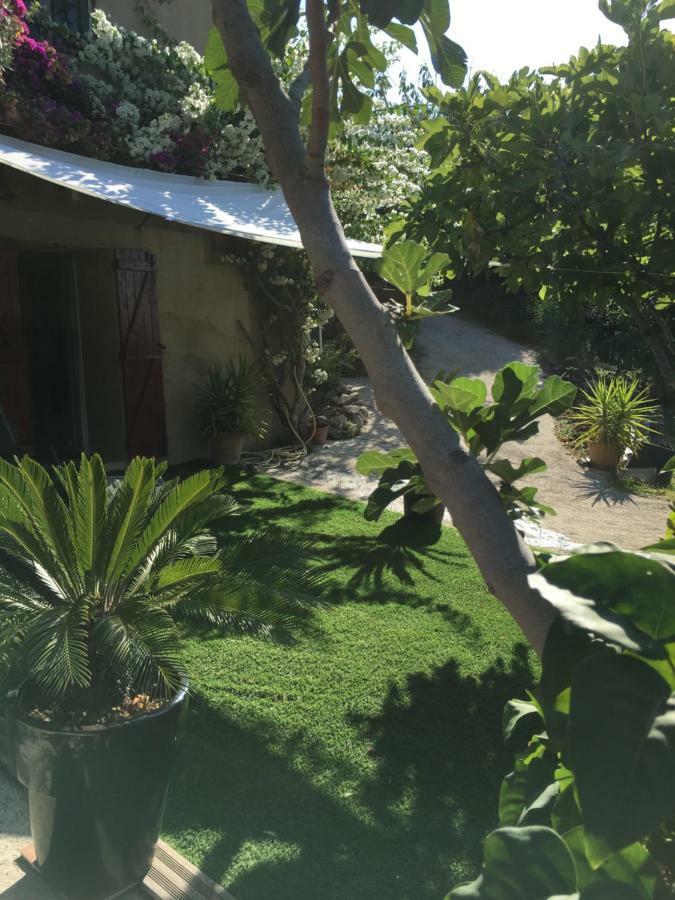 Les Terrasses Sur Mer Ollioules Bagian luar foto