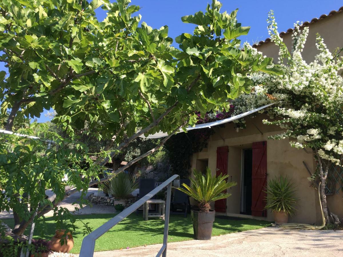 Les Terrasses Sur Mer Ollioules Bagian luar foto