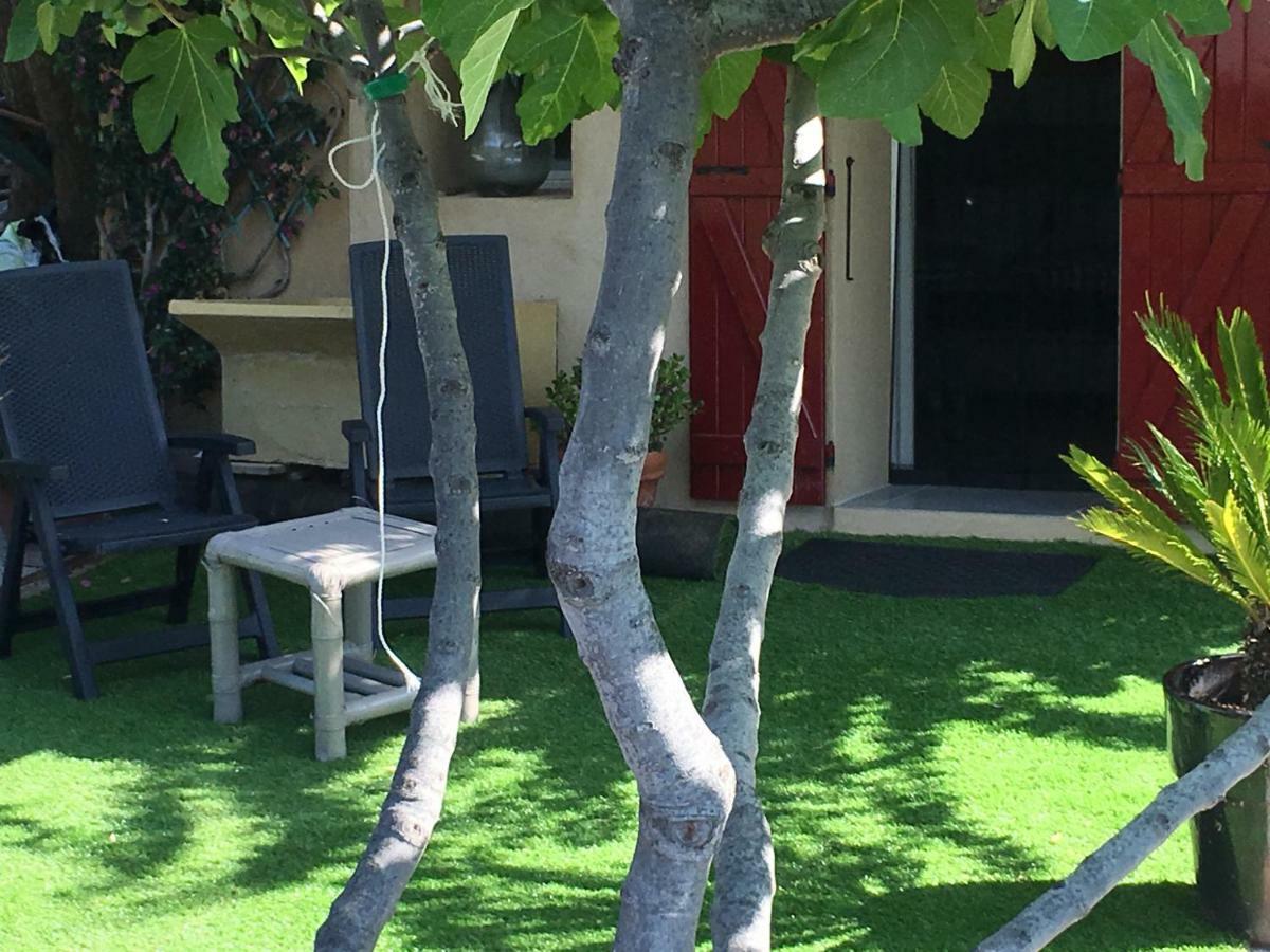 Les Terrasses Sur Mer Ollioules Bagian luar foto
